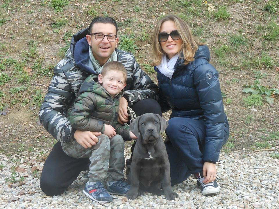 Max cucciolo grigio, con la nuova famiglia