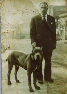 STORIA-cane-corso-anni-50